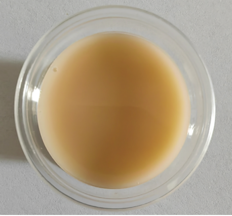 1751501481591241.png 1751501481591241.png